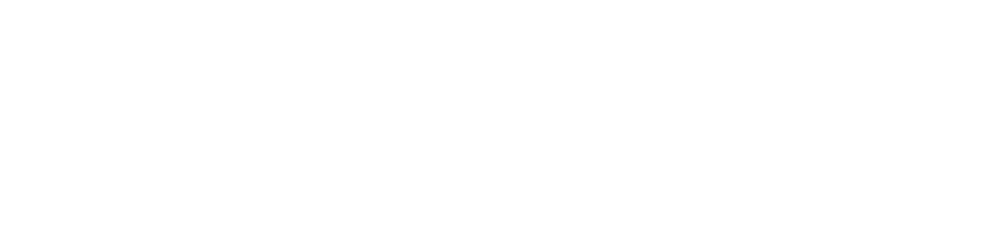 Logo trans blanco Martin